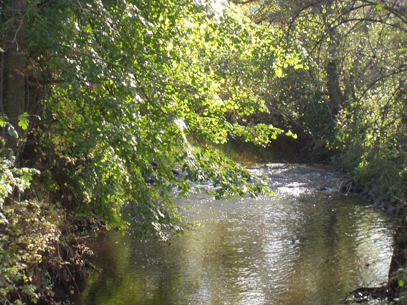 PA220406.JPG