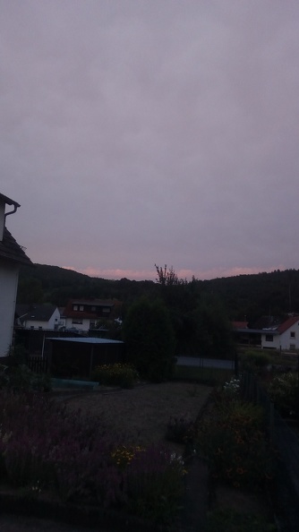 IMG_20190820_202227.jpg